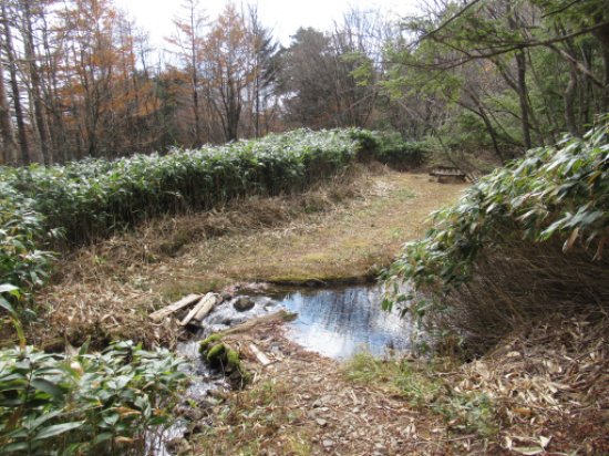 野熊の池
